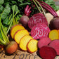 Life-Forces Seeds Gift Vouchers - LifeForce Seeds