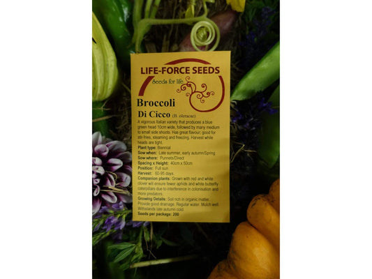 Broccoli Di Cicco - LifeForce Seeds