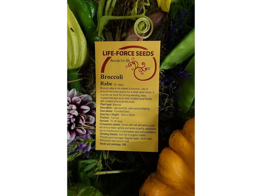 Broccoli Rabe Rapini - LifeForce Seeds