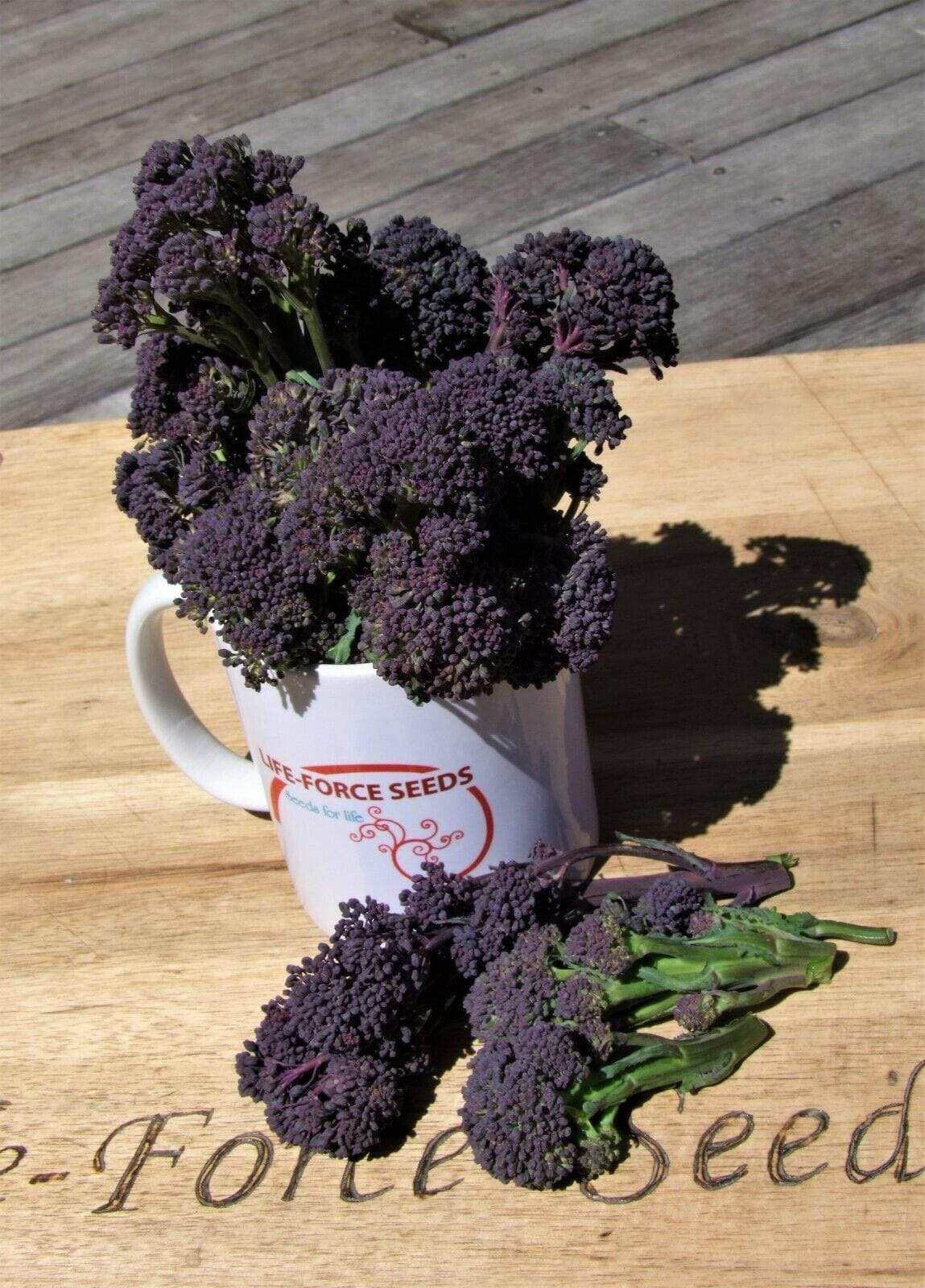 Broccoli Purple Sprouting - LifeForce Seeds