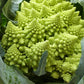 Broccoli Romanesco - LifeForce Seeds