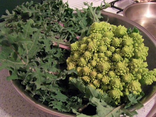 Broccoli Romanesco - LifeForce Seeds