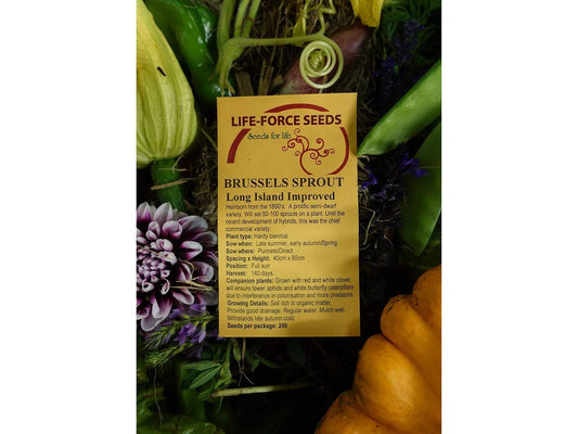 Brussels Sprout Long Island Improved - LifeForce Seeds