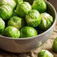 Brussels Sprout Long Island Improved - LifeForce Seeds