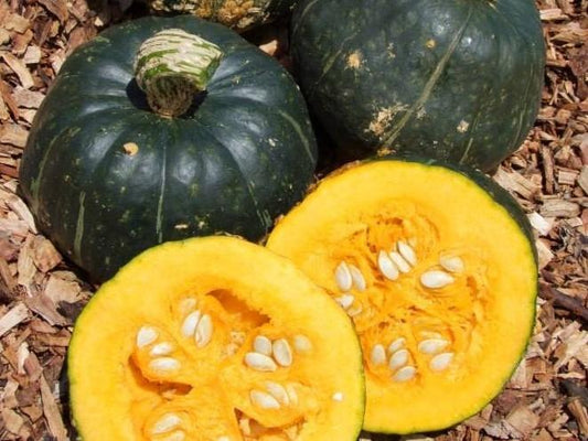 Pumpkin, Buttercup - LifeForce Seeds