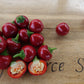 Life-Forces Seeds Gift Vouchers - LifeForce Seeds