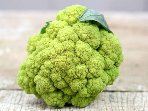 Cauliflower, Macerata Green - LifeForce Seeds