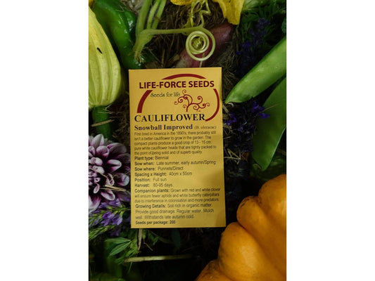 Cauliflower, Snowball Improved - LifeForce Seeds