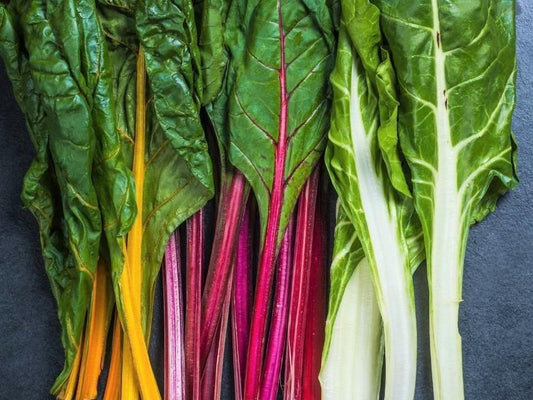 Silverbeet/ Swiss Chard Rainbow Colour - LifeForce Seeds