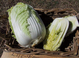 Chinese Cabbage, One Kilo Slow Bolt F1 - LifeForce Seeds