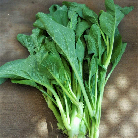 Choy Sum, Slow Bolt - LifeForce Seeds