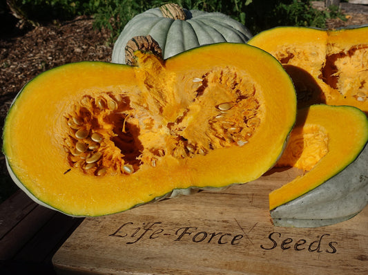 Pumpkin, Jarrahdale - LifeForce Seeds