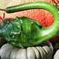 Gourd, Dinosaur - LifeForce Seeds