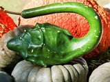 Gourd, Dinosaur - LifeForce Seeds