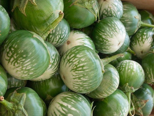 Eggplant, Thai Green Round - LifeForce Seeds