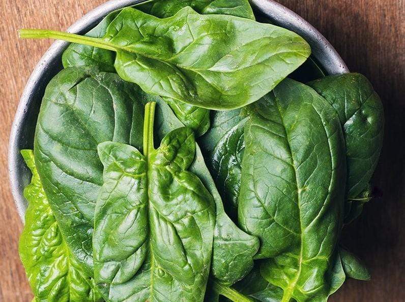 Spinach Giant Noble - LifeForce Seeds