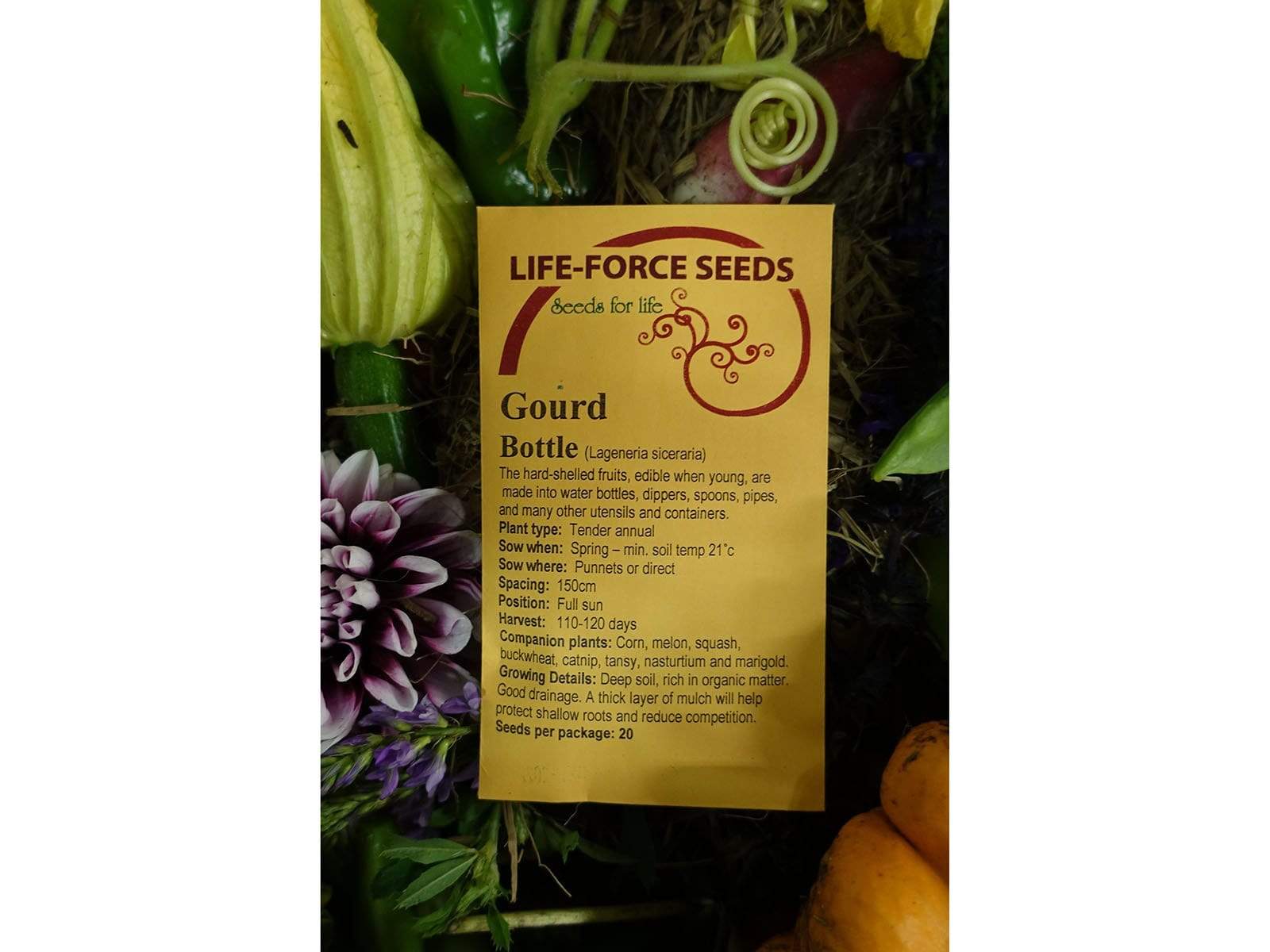 Gourd, Bottle - LifeForce Seeds