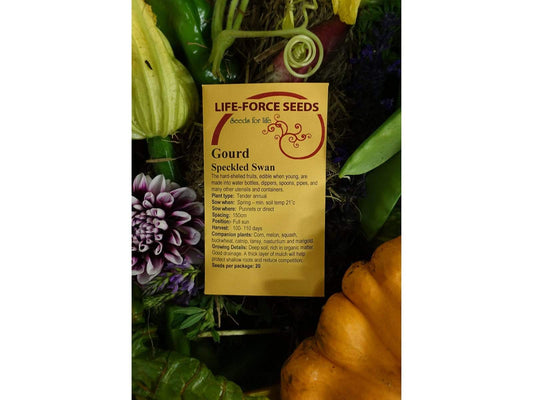 Gourd, Speckled Swan - LifeForce Seeds