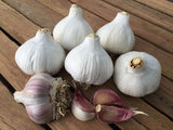 Garlic Dunganski (2 bulbs) - LifeForce Seeds