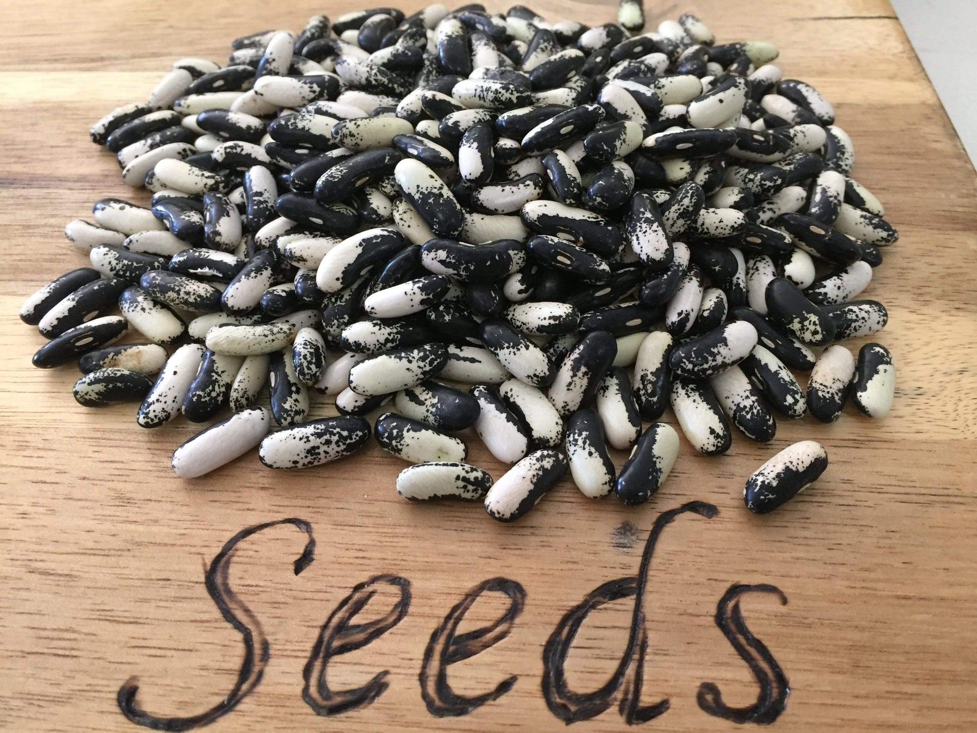 Bean Bush, Magpie - LifeForce Seeds