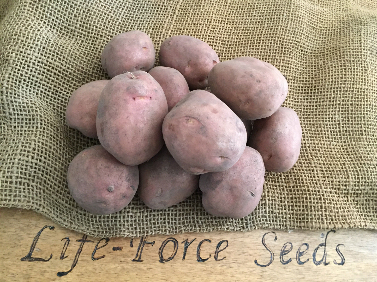 SEED POTATO DESIREE (1kg tubers) - LifeForce Seeds