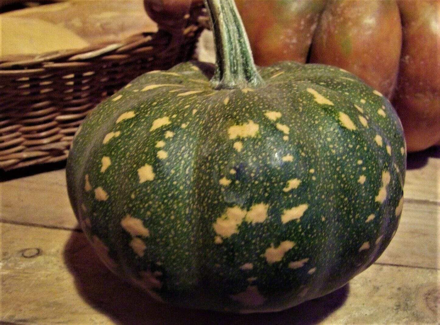 Pumpkin, Kent/ Jap - LifeForce Seeds