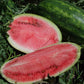 Watermelon, Klondike Blue Ribbon - LifeForce Seeds
