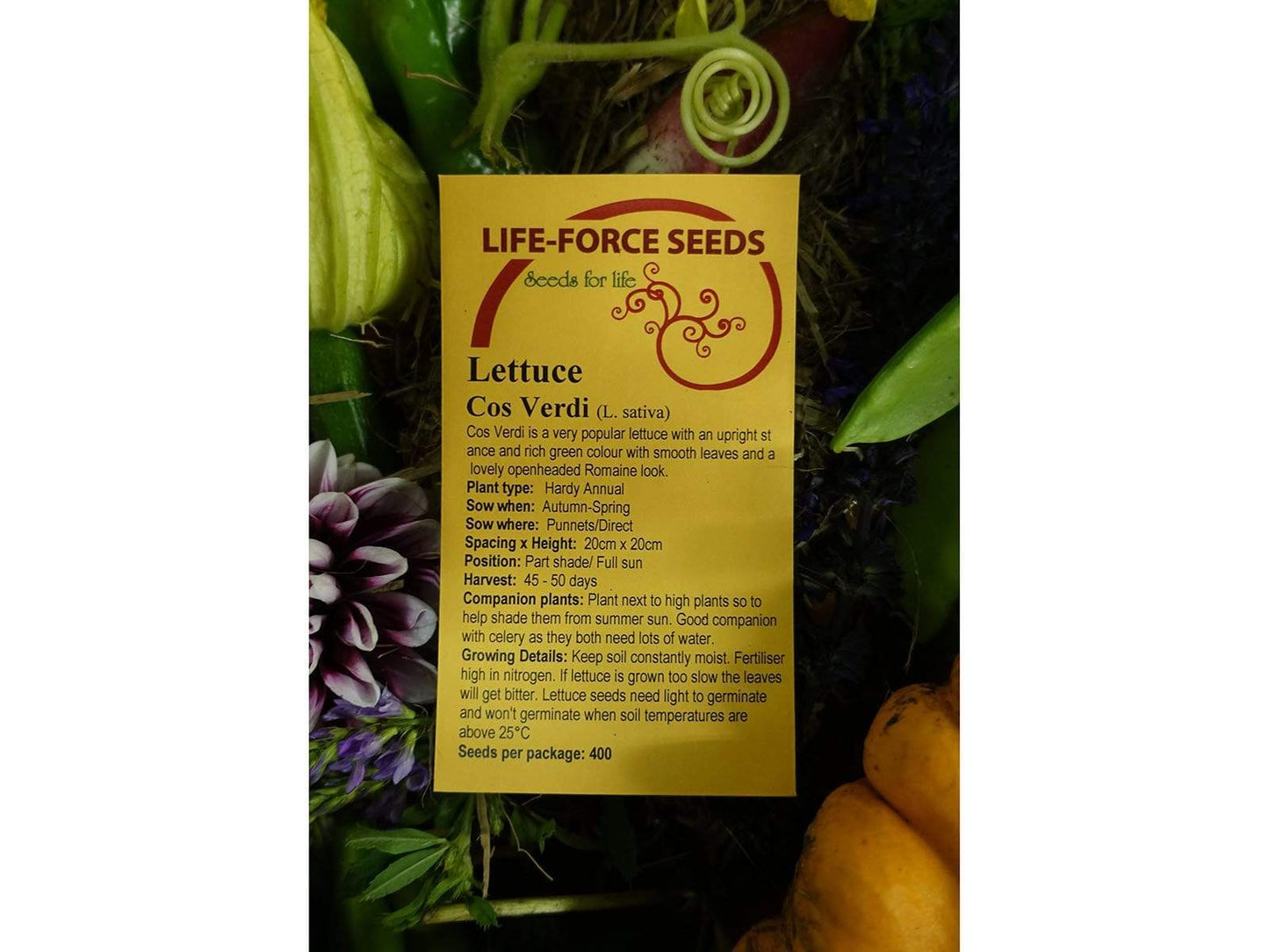 Lettuce Cos Verdi - LifeForce Seeds