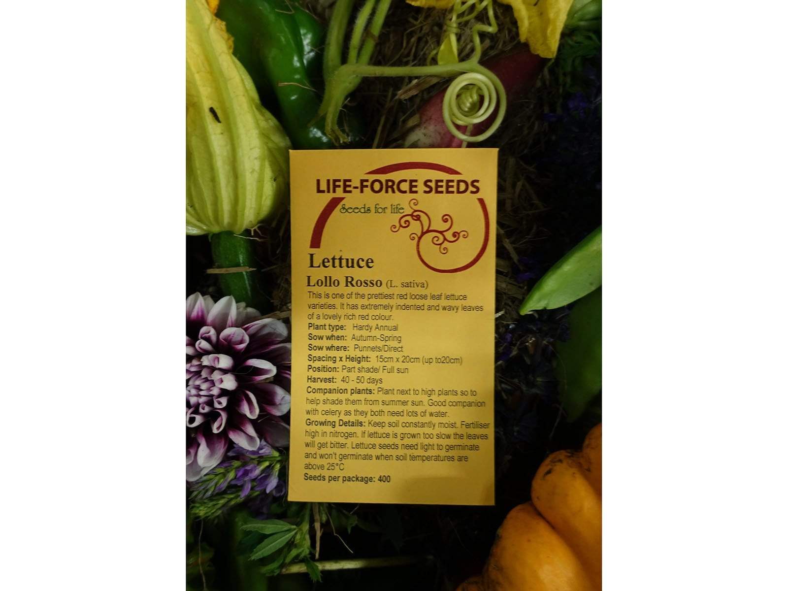 Lettuce Lollo Rosso - LifeForce Seeds