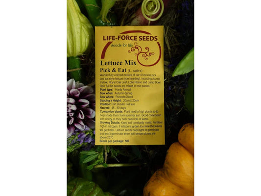 Lettuce Mix Pick & Eat - LifeForce Seeds