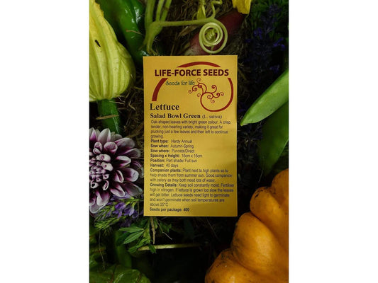 Lettuce Salad Bowl Green - LifeForce Seeds
