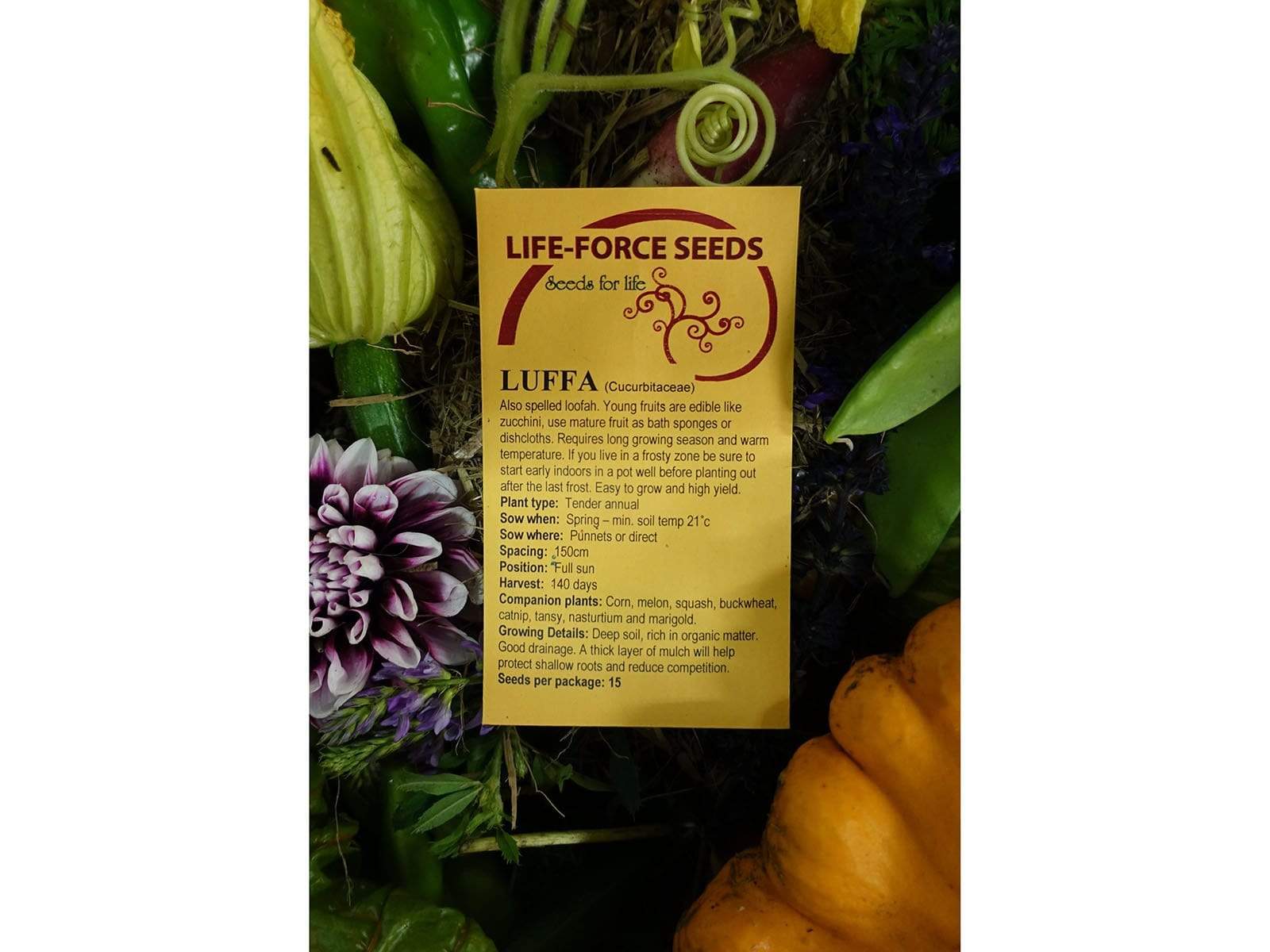 Luffa - LifeForce Seeds
