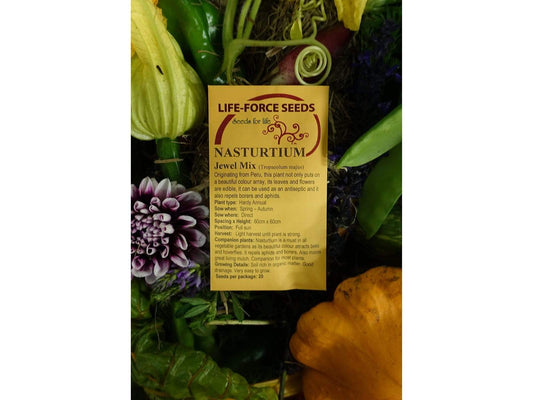 Nasturtium Jewel Mix - LifeForce Seeds