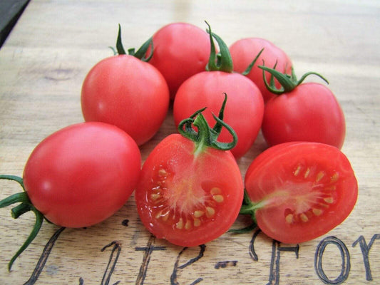 Tomato, Pearly Pink - LifeForce Seeds