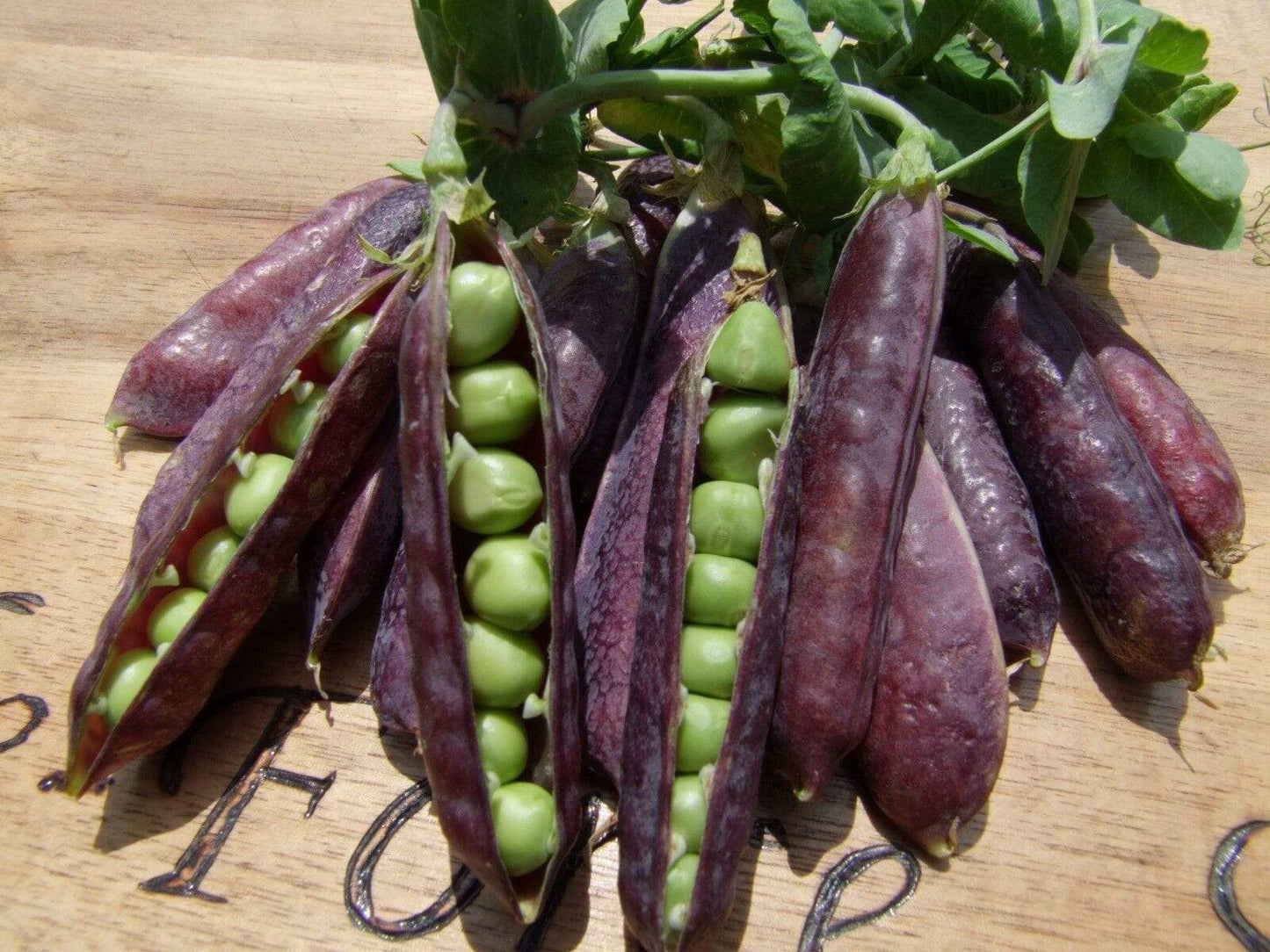 Pea Climbing, Purple podded - LifeForce Seeds