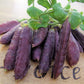 Pea Climbing, Purple podded - LifeForce Seeds