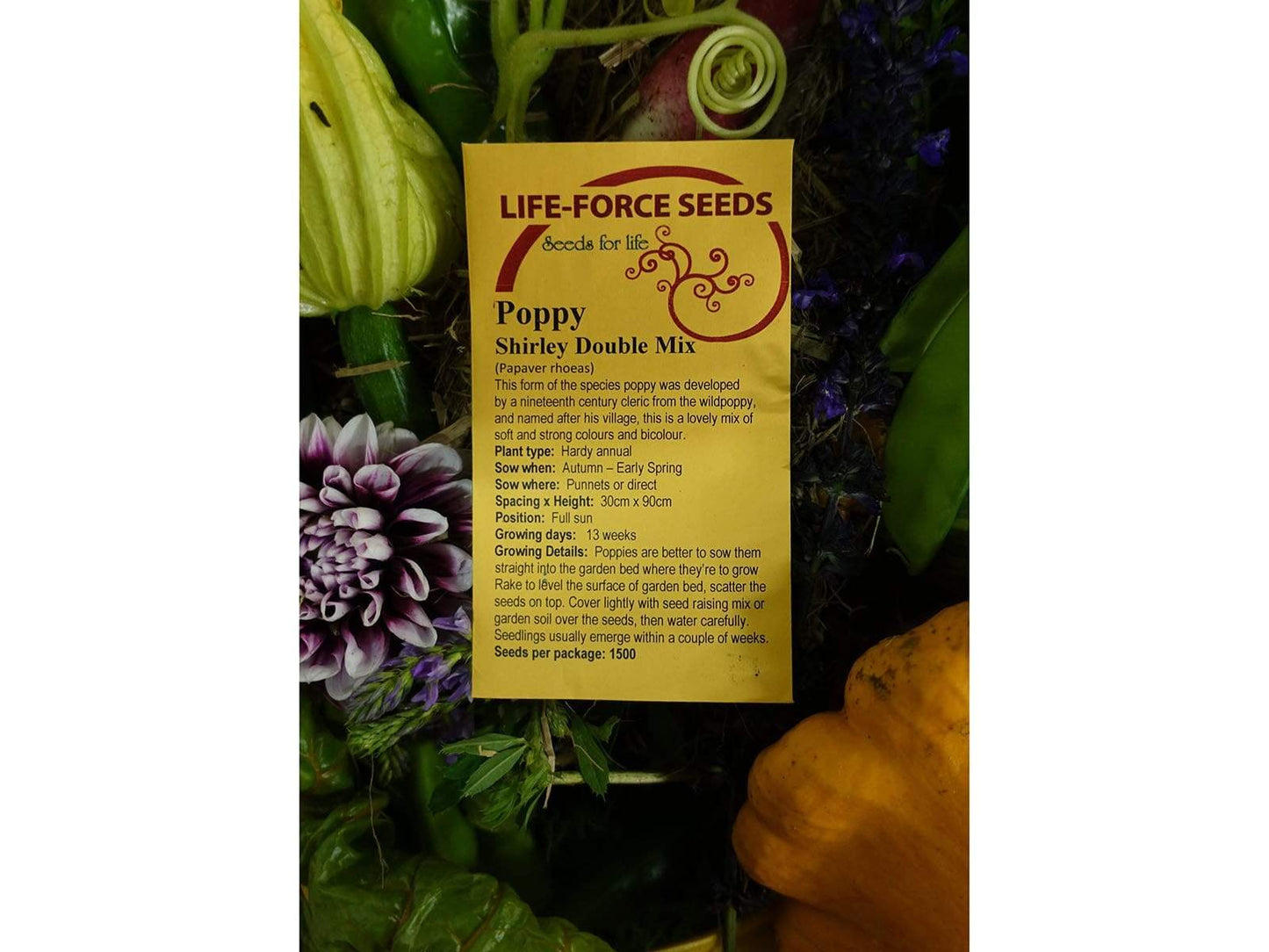 Poppy, Shirley Double Mix - LifeForce Seeds