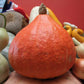 Pumpkin, Potimarron - LifeForce Seeds