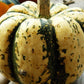 Pumpkin, Sweet Dumpling - LifeForce Seeds