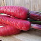 Carrot Purple Dragon - LifeForce Seeds