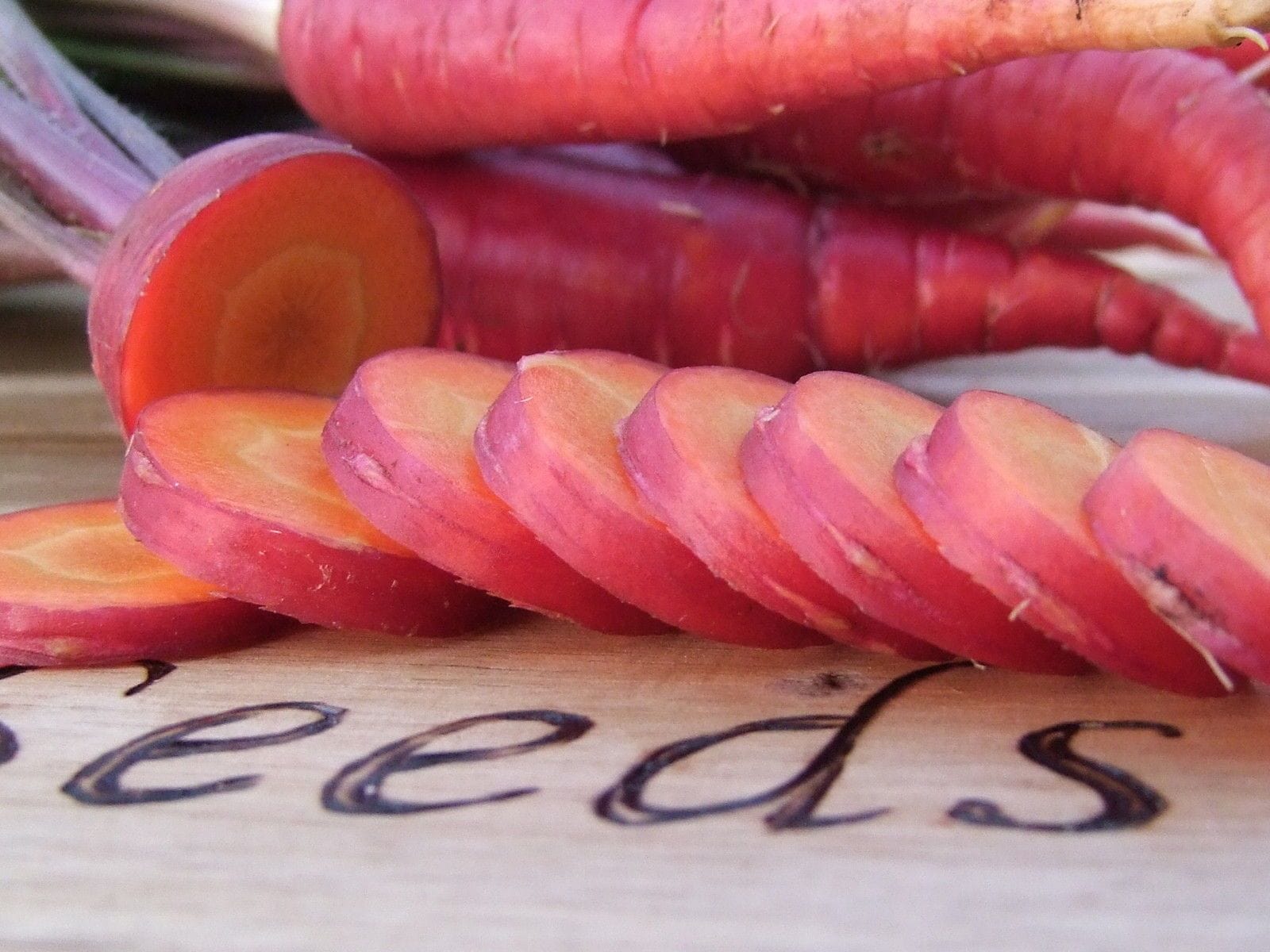 Carrot Purple Dragon - LifeForce Seeds
