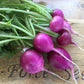 Radish, Purple Plum - LifeForce Seeds