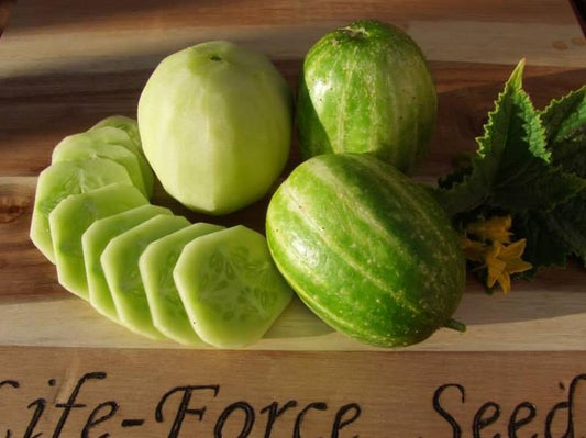 Cucumber, Richmond River Green Apple - LifeForce Seeds