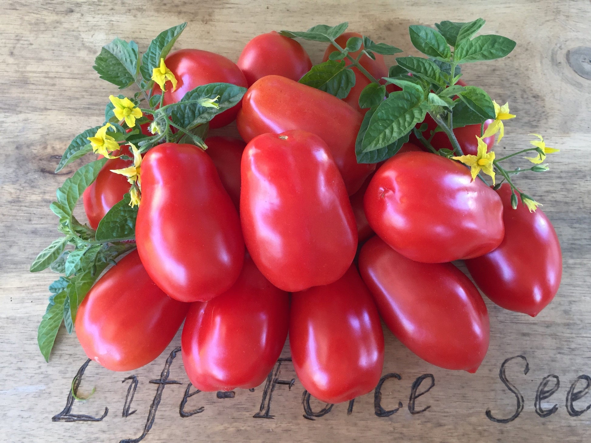 Tomato, Roma - LifeForce Seeds