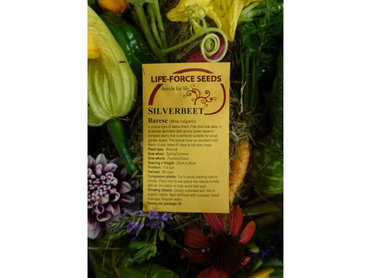 Silverbeet/ Swiss Chard Barese - LifeForce Seeds