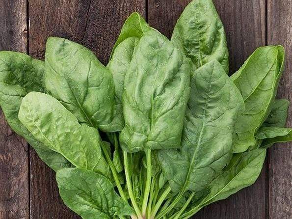 Spinach Viroflay - LifeForce Seeds