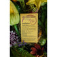 Sunflower Teddy Bear - LifeForce Seeds