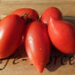Tomato, Amish Paste - LifeForce Seeds