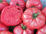Tomato, Brandywine Pink - LifeForce Seeds
