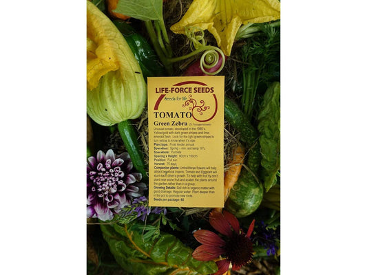 Tomato, Green Zebra - LifeForce Seeds